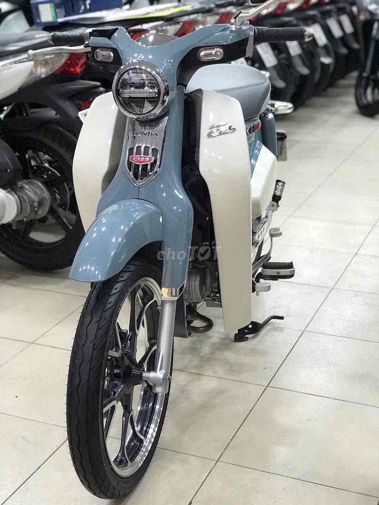 Cub 2021 - ảnh 2