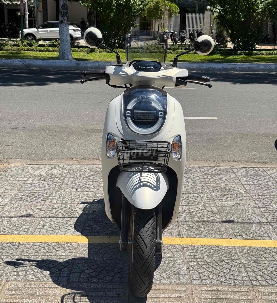 Scoopy 2026 - ảnh 1