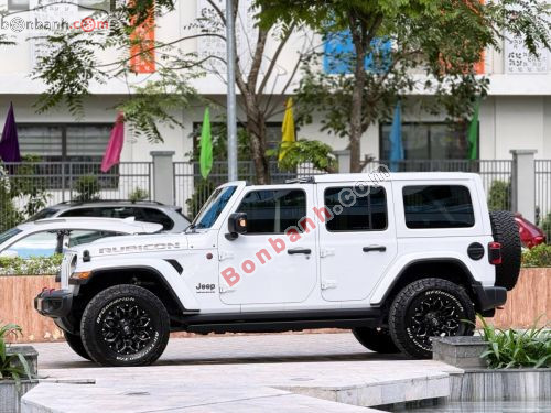 Jeep Wrangler Rubicon 2.0 4x4 AT 2023 - ảnh 2