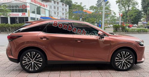 Lexus RX 350 Premium 2023 - ảnh 3