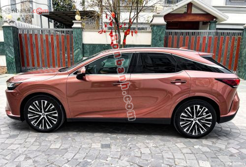 Lexus RX 350 Premium 2023 - ảnh 4