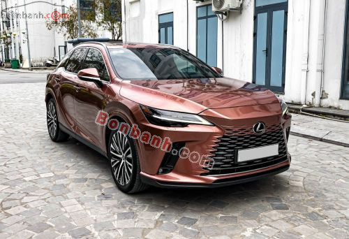 Lexus RX 350 Premium 2023 - ảnh 3