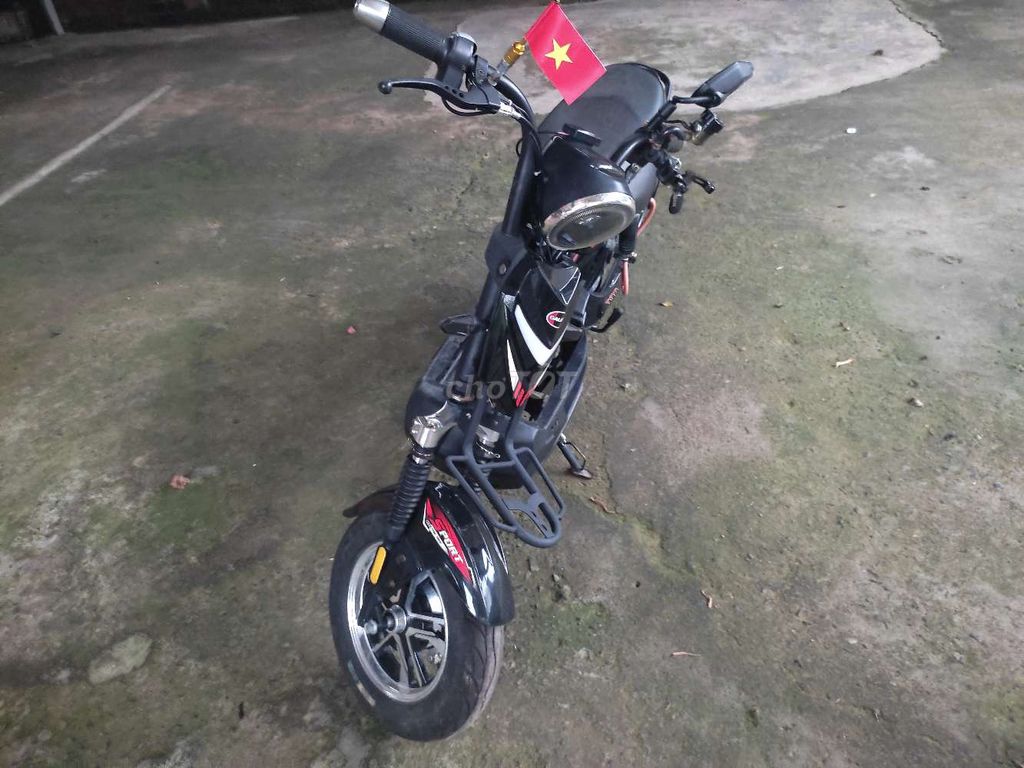 Xe 2024 - ảnh 2