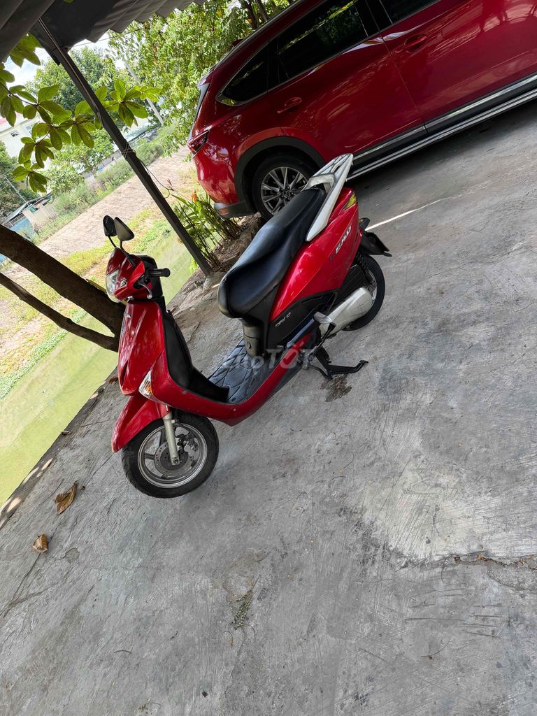 Honda Lead 2010 - ảnh 3