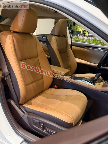 Lexus ES 250 2017 - ảnh 5