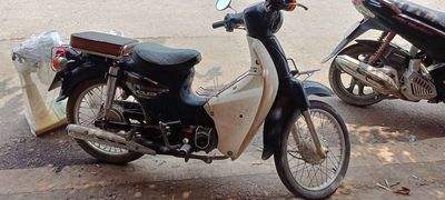 Hyosung Cub 2019 - ảnh 1