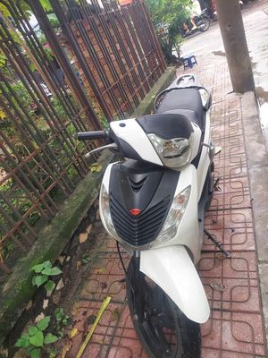 Honda SH 2024 - ảnh 1