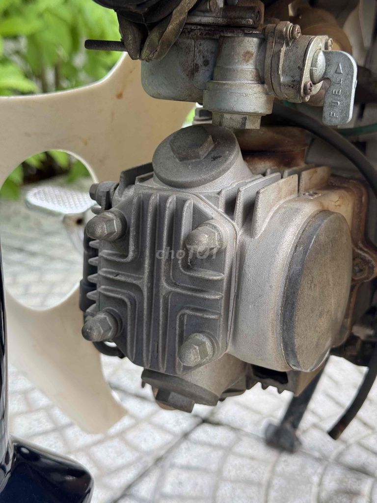 Super Cub 2019 - ảnh 5