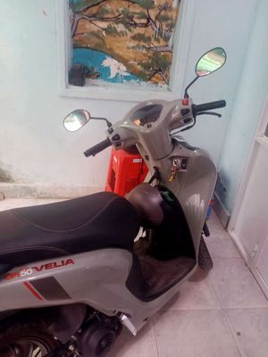 Xe tay 2025 - ảnh 1