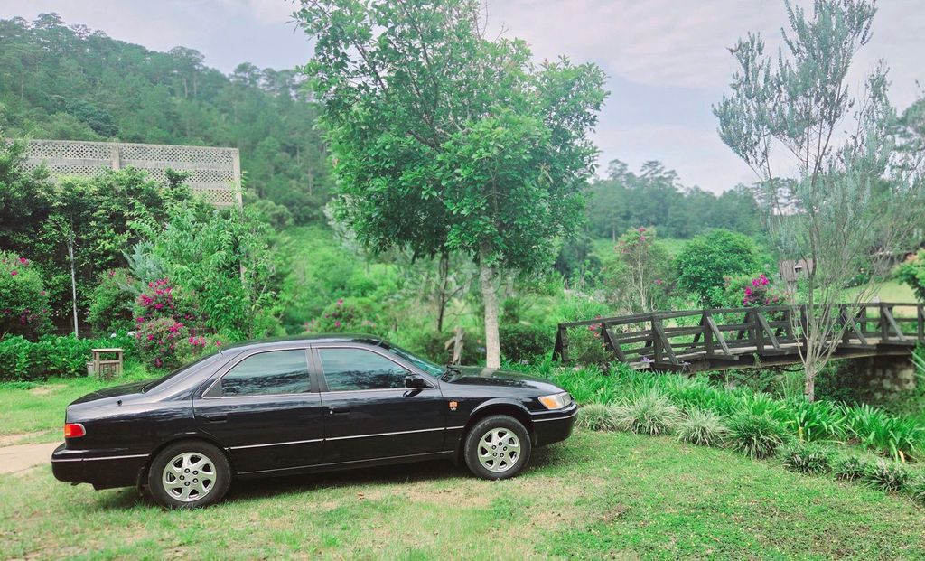 Toyota Camry - ảnh 3