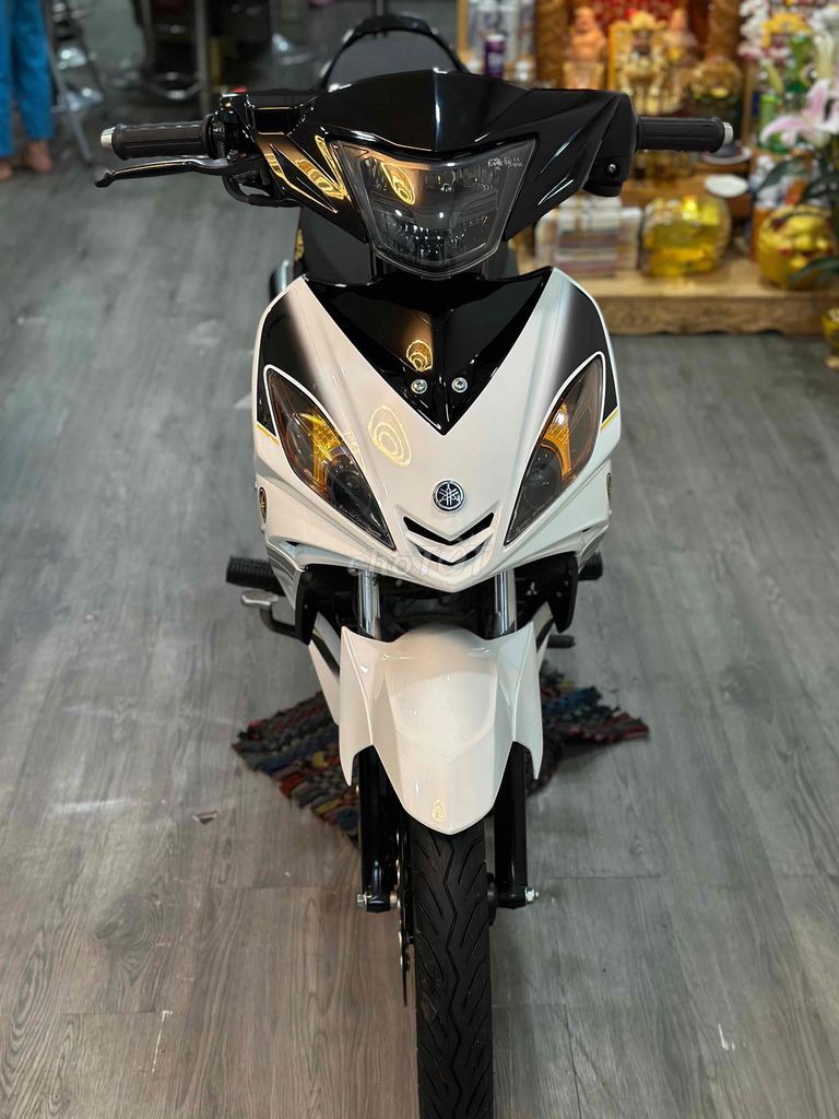 Ex t 2013 - ảnh 1
