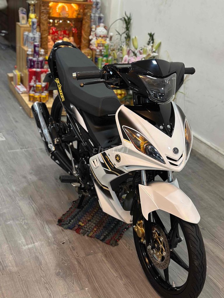 Ex t 2013 - ảnh 3