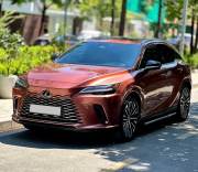 Lexus RX 350 Premium 2024 - ảnh 1