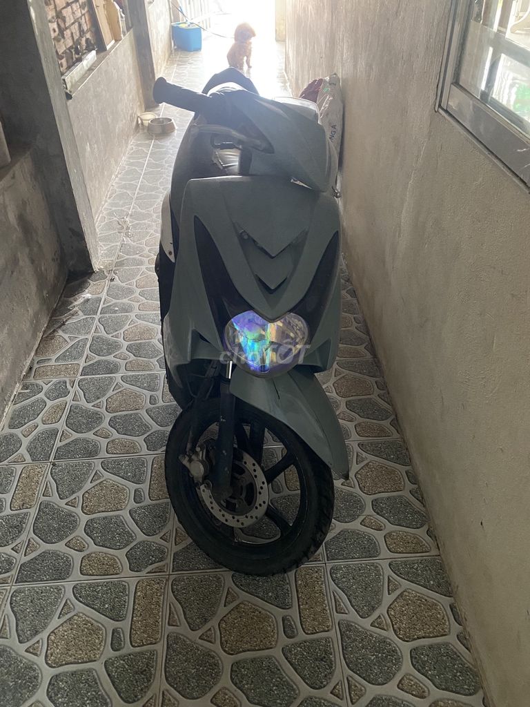 Yamaha 2010 - ảnh 3