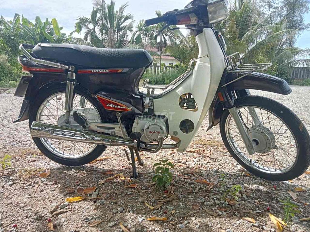 Dream 2020 - ảnh 2