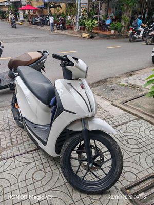 Xe m 2025 - ảnh 1