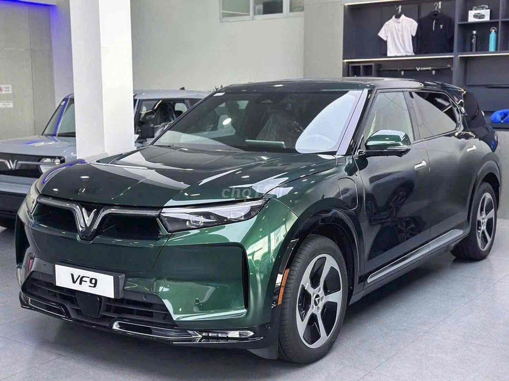 VinFast - ảnh 1