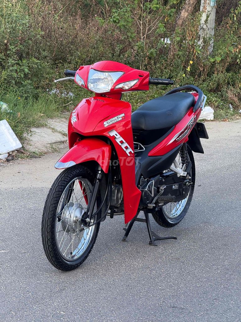 Wave 2024 - ảnh 1
