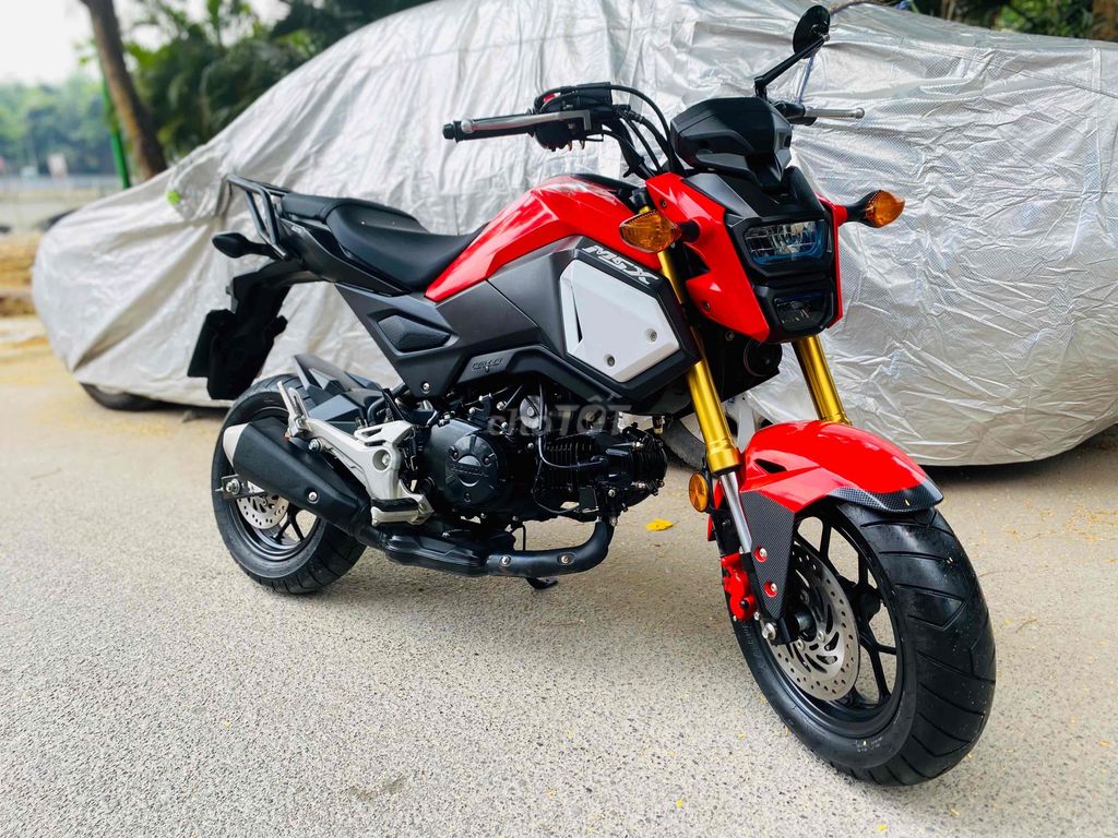 Honda MSX 2021 - ảnh 1