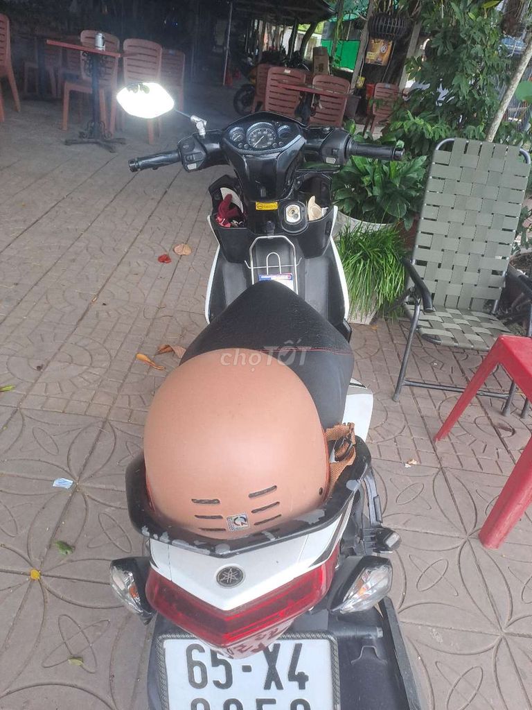 Yamaha Novo 2010 - ảnh 3
