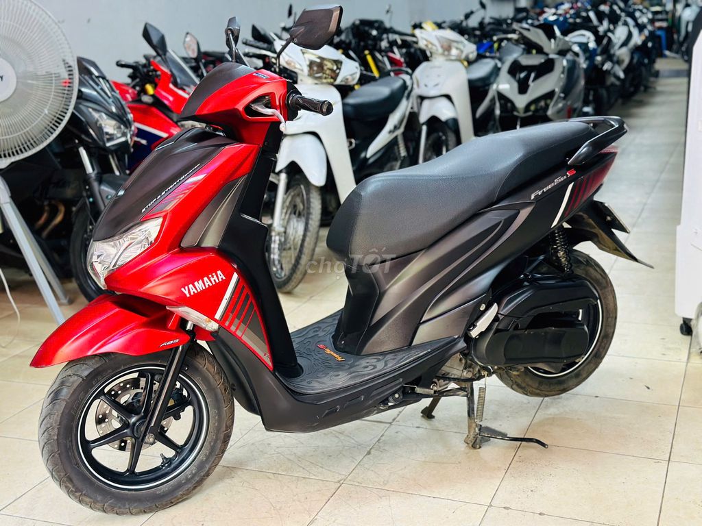 XE M 2022 - ảnh 5