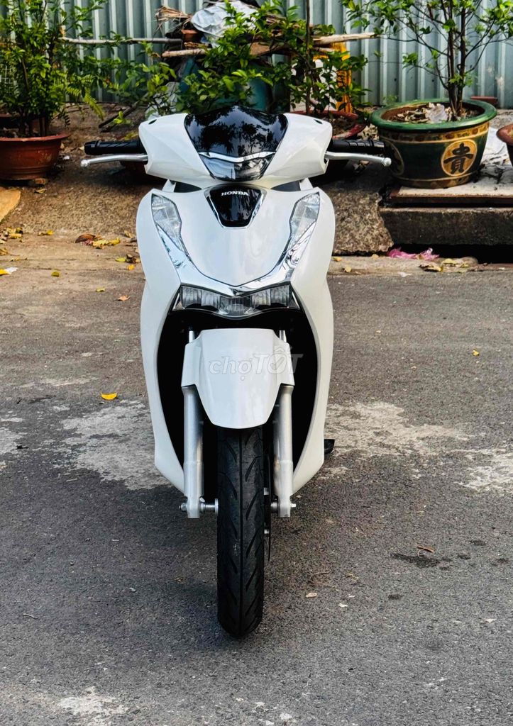 Honda SH 2023 - ảnh 1