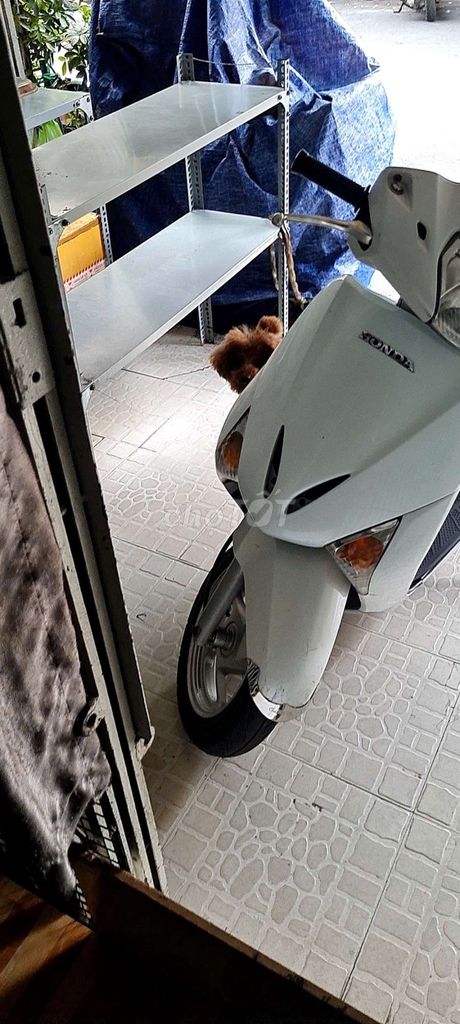 Honda Vision 2008 - ảnh 2
