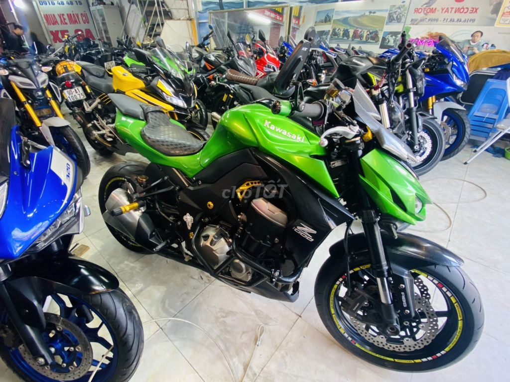Z 2021 - ảnh 2