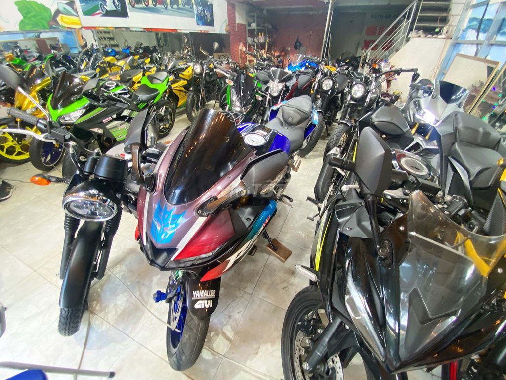 Z 2021 - ảnh 5