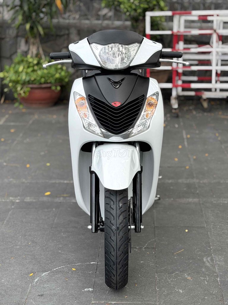 SH 2010 - ảnh 1