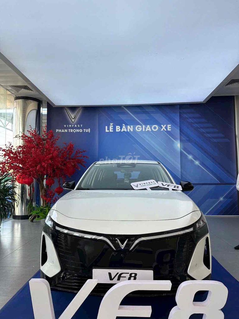 VinFast VF8 - ảnh 1