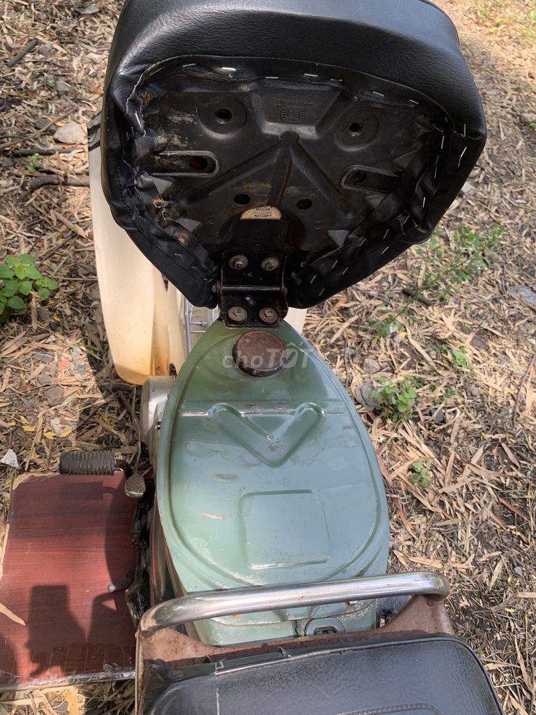 Honda Super 1981 - ảnh 3