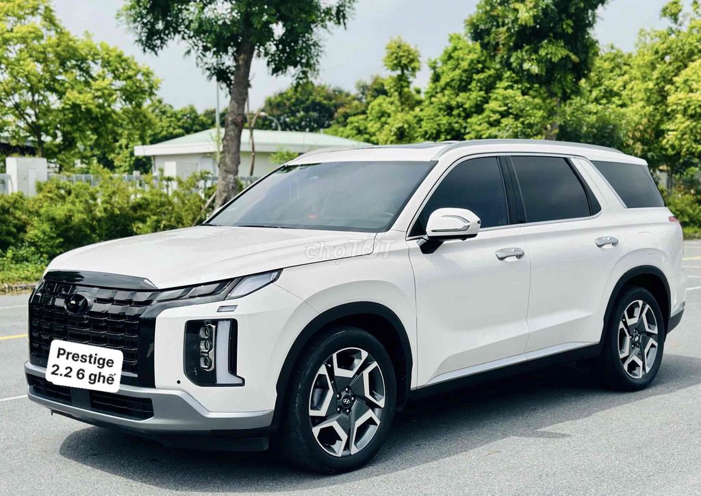 Hyundai Palisade 2024 - ảnh 3