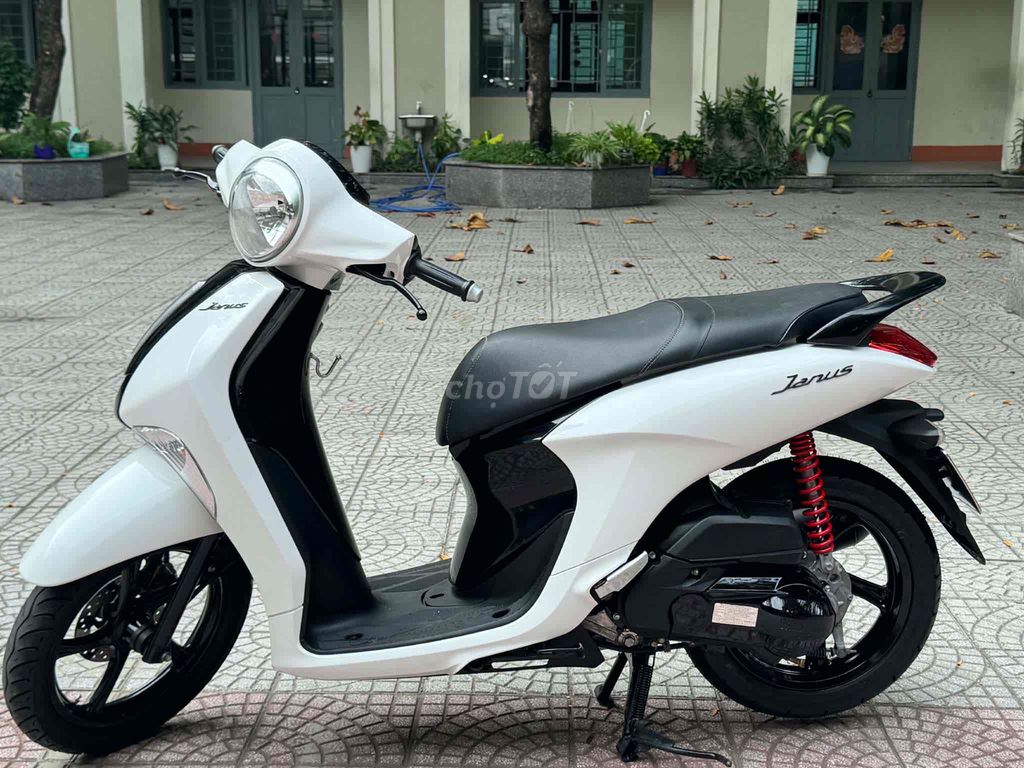 Yamaha Janus 2019 - ảnh 1
