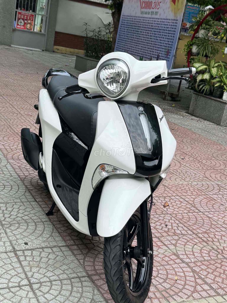 Yamaha Janus 2019 - ảnh 5