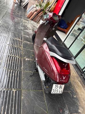 Xe m 2022 - ảnh 1