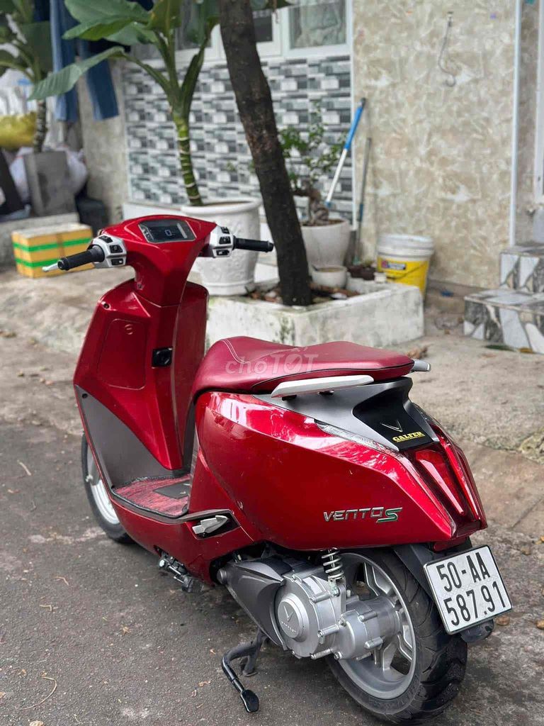 Xe m 2025 - ảnh 1