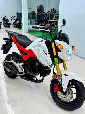 Honda MSX 2020 - ảnh 1