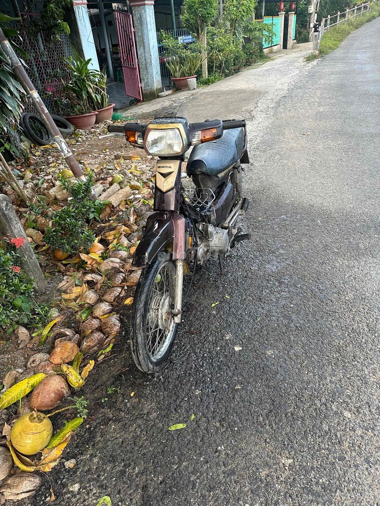 Honda Dream 2008 - ảnh 1
