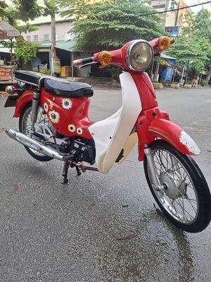 Cub 2018 - ảnh 1