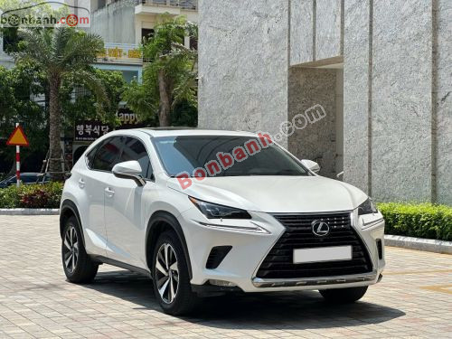Lexus NX 300 2019 - ảnh 1