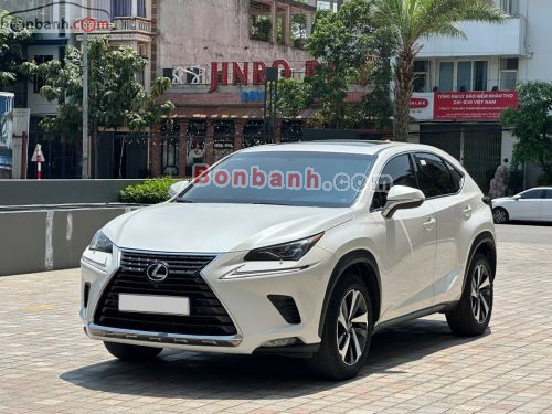 Lexus NX 300 2019 - ảnh 2