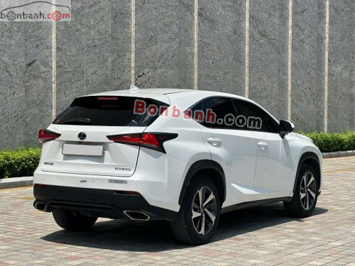 Lexus NX 300 2019 - ảnh 3