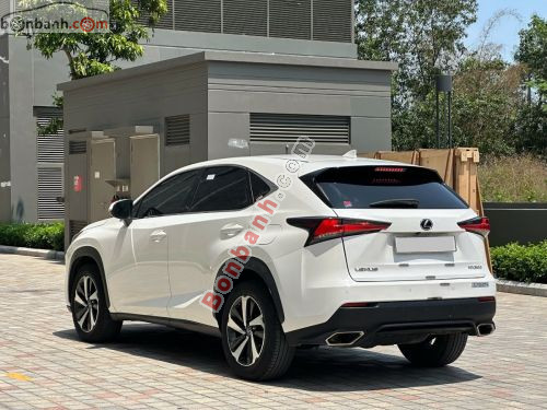 Lexus NX 300 2019 - ảnh 4