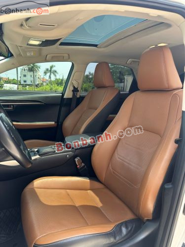 Lexus NX 300 2019 - ảnh 5