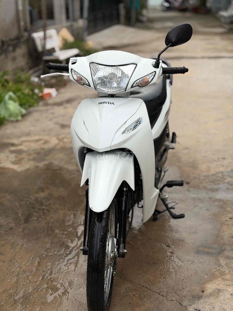 Honda 2024 - ảnh 1