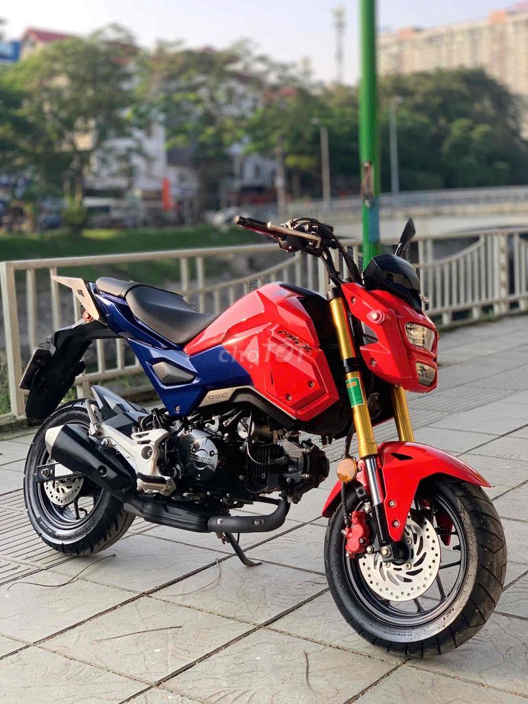 Honda MSX 2023 - ảnh 1