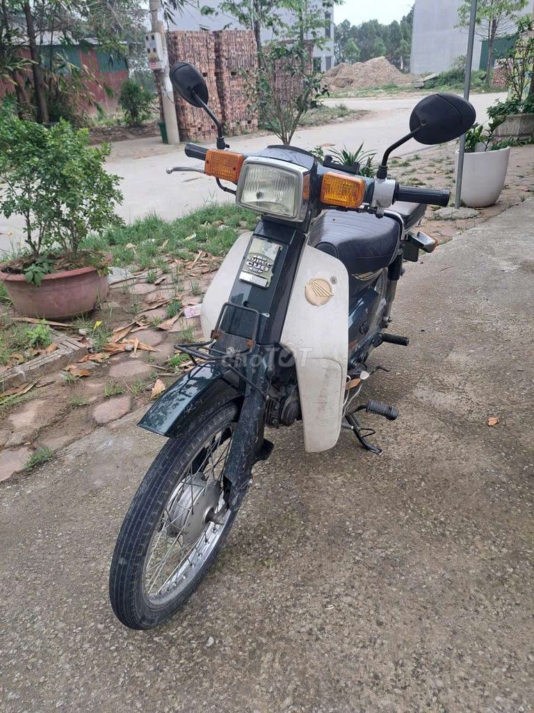 Honda Cub 2014 - ảnh 2