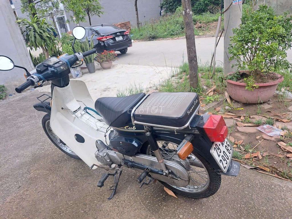 Honda Cub 2014 - ảnh 4