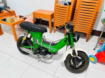 Honda Chaly 1991 - ảnh 1